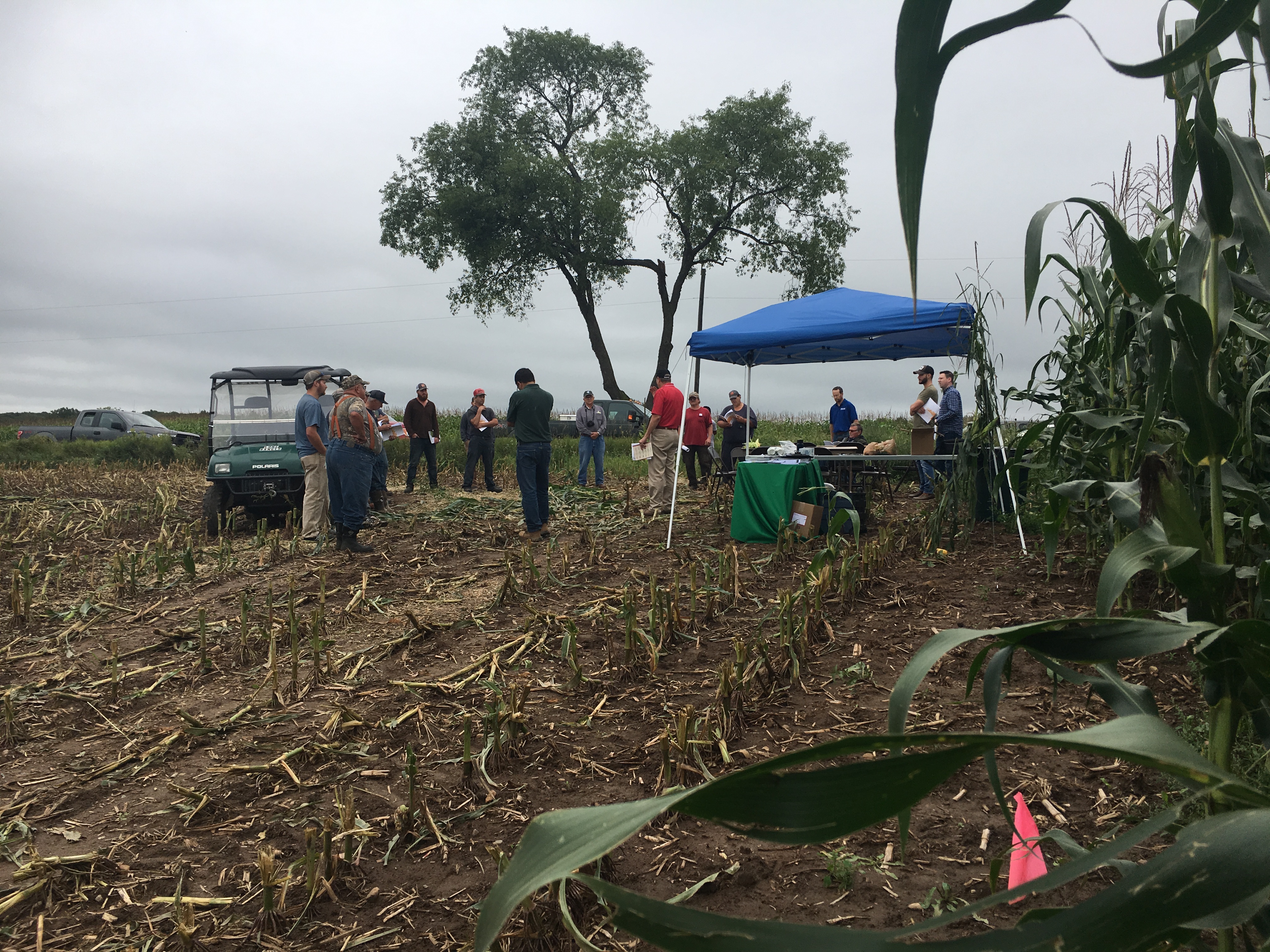 corn field day 2018.2